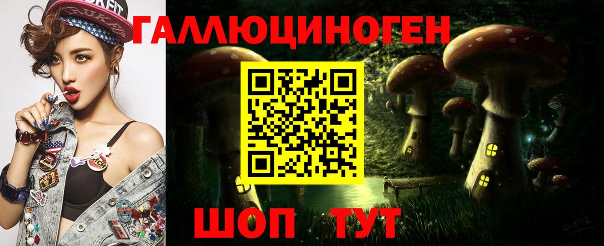 Галлюциногенные грибы Magic Shrooms  Псилоцибиновые грибы прущие грибы  Чита  Вход с VPN 