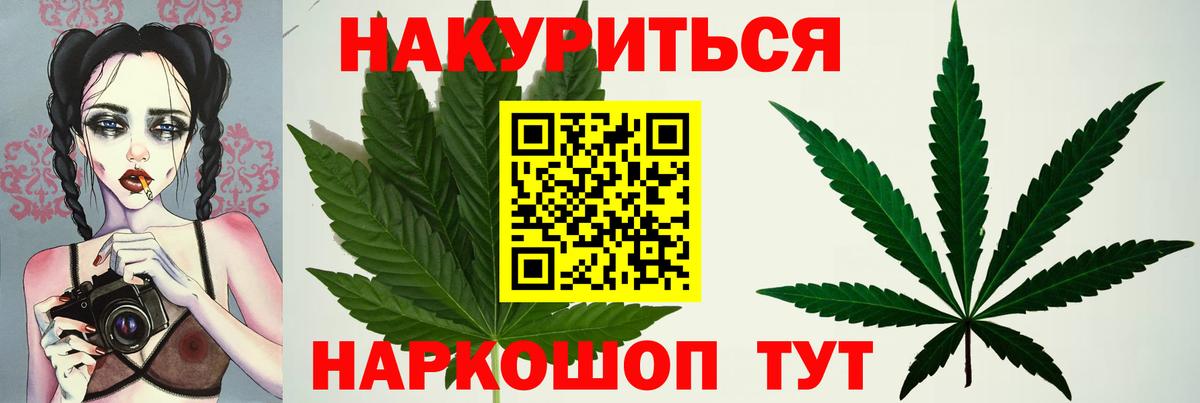 Конопля семена Чита